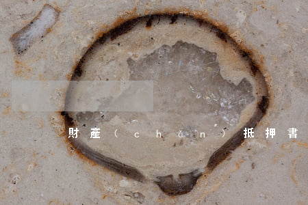 財產(chǎn)抵押書