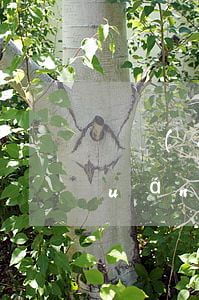 財產(chǎn)擔(dān)保債權(quán)應(yīng)在法定期限內(nèi)申報嗎