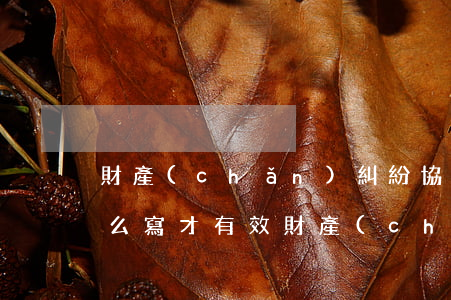 財產(chǎn)糾紛協(xié)議書怎么寫才有效(財產(chǎn)糾紛協(xié)議書怎么寫才有效)