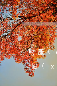 財產(chǎn)繼承及扶養(yǎng)協(xié)議怎么寫(繼承財產(chǎn)分割協(xié)議書怎么寫)
