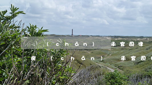財產(chǎn)繼承官司律師怎么收費(打房產(chǎn)繼承官司律師收費標準是多少)