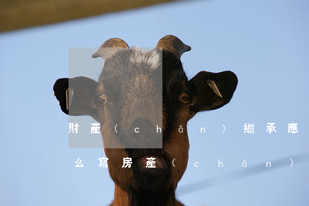 財產(chǎn)繼承應(yīng)該怎么寫(房產(chǎn)繼承為了繼承怎么寫遺囑呢)
