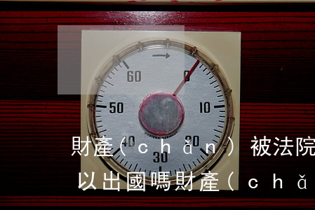 財產(chǎn)被法院執(zhí)行可以出國嗎(財產(chǎn)被法院執(zhí)行可以出國嗎)