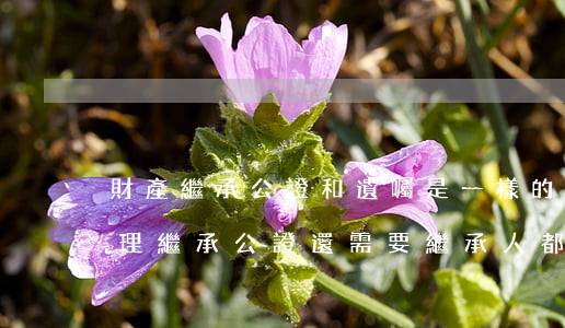 財產繼承公證和遺囑是一樣的嗎(公證遺囑辦理繼承公證還需要繼承人都在嗎)