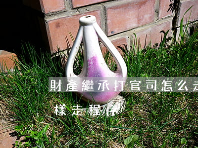 財產繼承打官司怎么走(房屋繼承通過法院怎樣走程序)