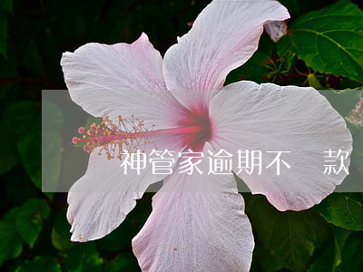 財神管家逾期不還款(財神管家逾期不還款)