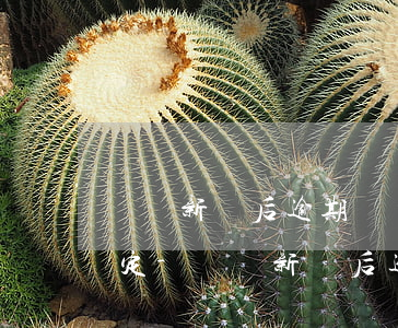 財稅新證后逾期辦證違約賠償規(guī)定-財稅新證后逾期辦證違約賠償規(guī)定是多少
