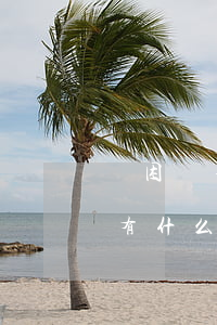 貧困戶不能申請信用卡嗎（貧困戶信用卡逾期有什么優(yōu)惠）