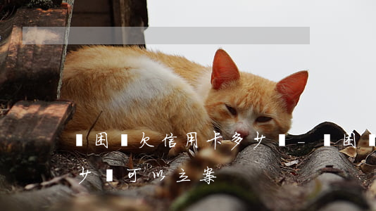 貧困戶欠信用卡多少錢-貧困戶欠信用卡多少錢可以立案