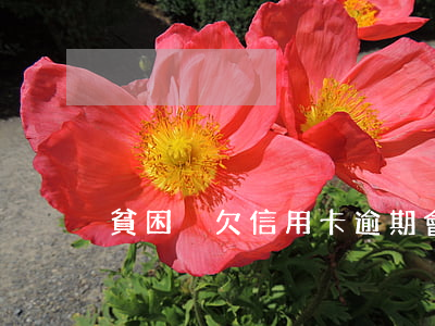 貧困戶欠信用卡逾期會被起訴嗎-