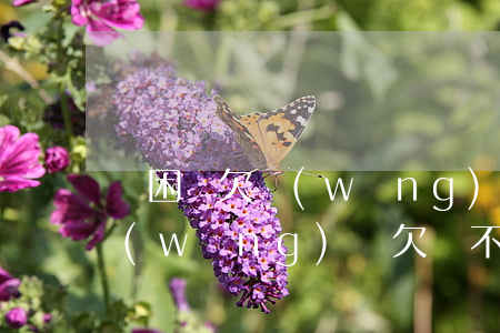 貧困戶欠網(wǎng)貸怎么辦(貧困戶網(wǎng)貸欠還不上被起訴怎么辦)