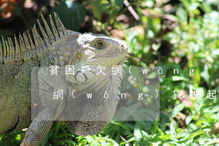 貧困戶欠網(wǎng)貸被起訴(貧困戶欠網(wǎng)貸被起訴)