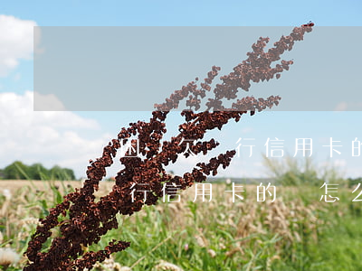 貧困戶欠銀行信用卡的錢怎么辦-貧困戶欠銀行信用卡的錢怎么辦理