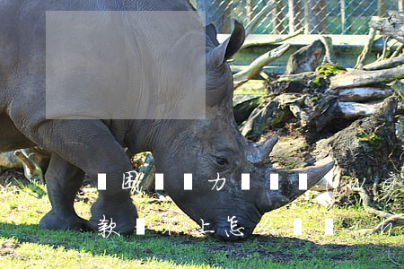 貧困戶無力償還網(wǎng)貸(貧困戶貸款還不上怎么辦?會(huì)被判刑嗎)