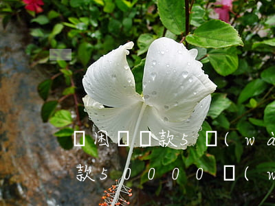 貧困戶貸款5萬(wàn)還不起(貧困戶貸款50000萬(wàn)元3年不還利息是多少)