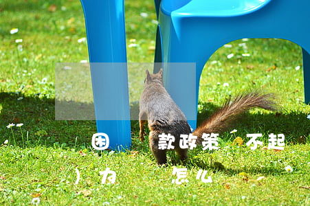 貧困戶貸款政策還不起(貧困戶貸款無(wú)力償還怎么辦)