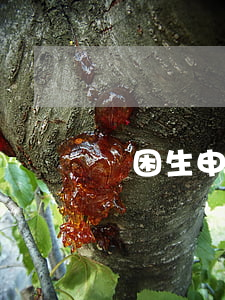 貧困生申請(貧困生申請流程)