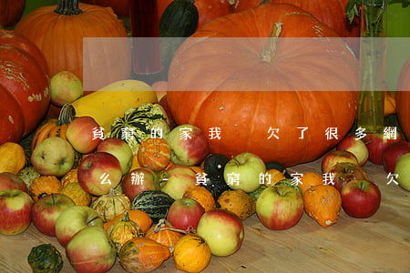 貧窮的家我卻欠了很多網(wǎng)貸怎么辦-貧窮的家我卻欠了很多網(wǎng)貸怎么辦呢