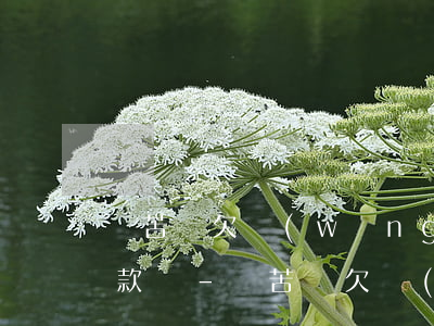 貧苦戶欠網(wǎng)貸還能申請銀行貸款嗎-貧苦戶欠網(wǎng)貸還能申請銀行貸款嗎知乎