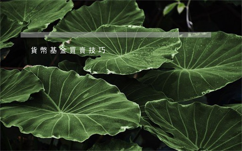 貨幣基金買賣技巧