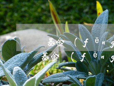 貨幣基金風(fēng)險(xiǎn)(貨幣基金風(fēng)險(xiǎn)等級(jí)劃分)