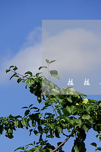 貨拉拉逾期等候費(fèi)多少錢一個小時-貨拉拉逾時等候費(fèi)是強(qiáng)行收的嗎