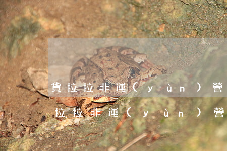 貨拉拉非運(yùn)營可以做嗎違法嗎(貨拉拉 非運(yùn)營)
