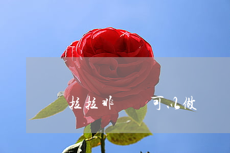 貨拉拉非運營可以做嗎違法嗎(貨拉拉 非運營)