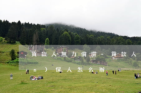 貨款人無力償還-貨款人無力償還擔(dān)保人怎么辦