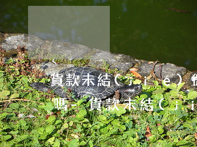 貨款未結(jié)微信聊天記錄可以起訴嗎-貨款未結(jié)微信聊天記錄可以起訴嗎有效嗎