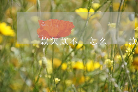 貨款欠款不還怎么辦(貨款拖欠不還怎么辦)