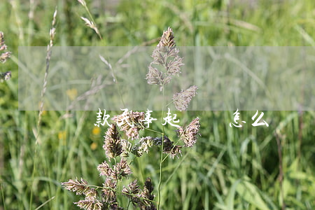 貨款民事起訴狀怎么寫(貨款民事起訴狀范文)
