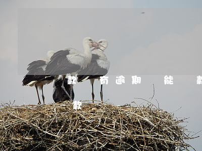 貨款沒有逾期還能貸款嗎(當前有逾期還可以貸款嗎)