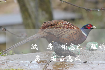 貨款買房離婚怎么處理(婚內(nèi)貸款買房離婚后怎么辦)