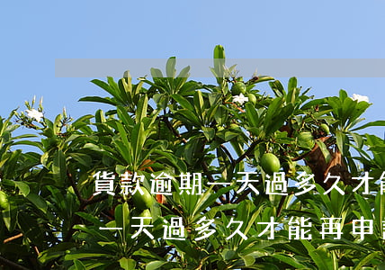 貨款逾期一天過多久才能再申請-貨款逾期一天過多久才能再申請信用卡