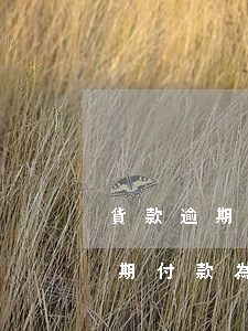 貨款逾期付款為什么可以支付利息-貨款逾期付款為什么可以支付利息呢