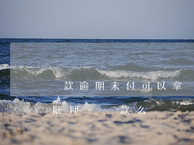 貨款逾期未付可以拿車輛抵押嗎(有逾期可以抵押車貸款么)