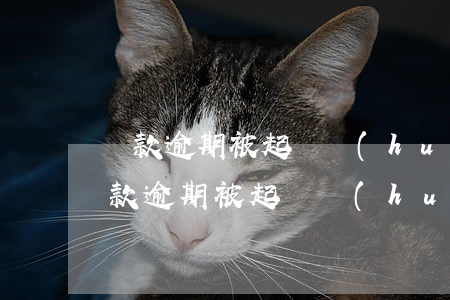 貨款逾期被起訴會(huì)有什么后果(貸款逾期被起訴會(huì)有什么后果)
