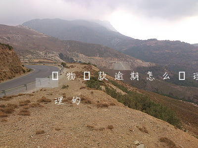 貨物貸款逾期怎么處理(貨物貸款逾期怎么處理的)