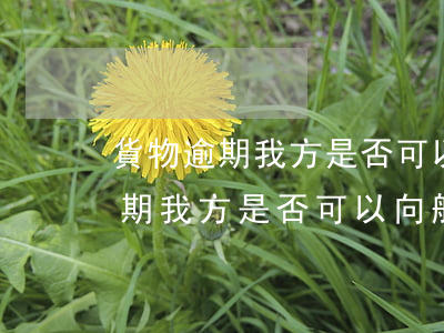 貨物逾期我方是否可以向船東索賠-貨物逾期我方是否可以向船東索賠呢