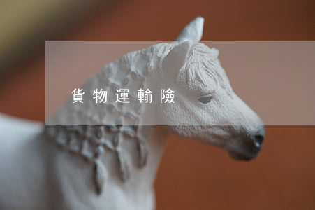 貨物運輸險