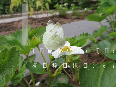 貨車(chē)司機(jī)沒(méi)有資格證保險(xiǎn)公司賠嗎