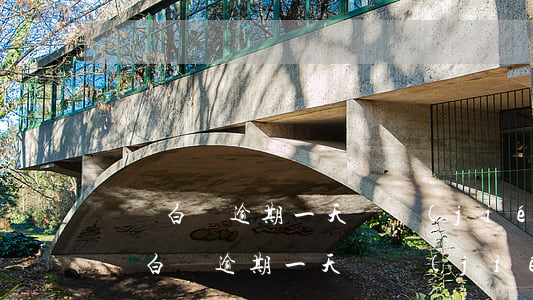 貨車白條逾期一天凍結(jié)怎么辦 貨車白條逾期一天凍結(jié)怎么辦