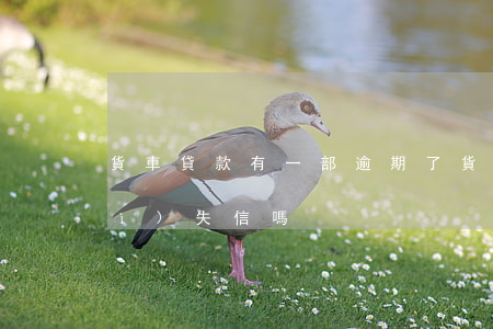 貨車貸款有一部逾期了(貨車幫逾期會(huì)失信嗎)
