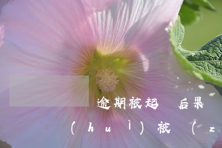 貨車貸逾期被起訴后果 車貸逾期被起訴多久會(huì)被執(zhí)行