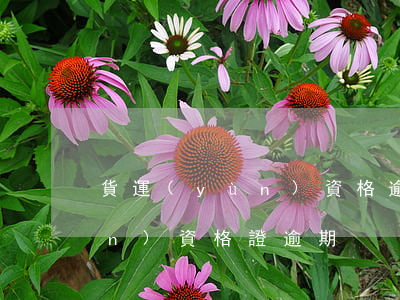貨運(yùn)資格逾期誠信-貨運(yùn)資格證逾期