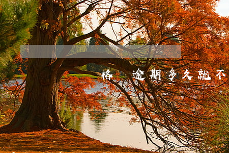 貨運資格證逾期多久就不能審了-