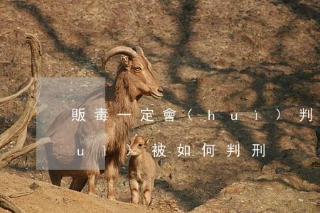 販毒一定會(huì)判死刑嗎(販毒會(huì)被如何判刑?)