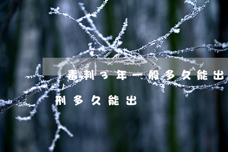 販毒判3年一般多久能出來(販毒被判無期徒刑多久能出來)