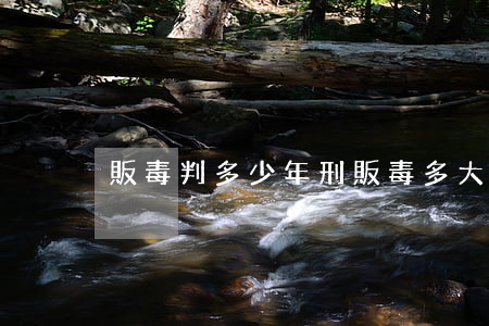 販毒判多少年刑(販毒多大年齡判刑)